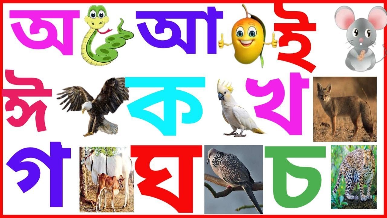 অ আ ই ঈ উ ঊ  /ক খ গ ঘ | স্বরবর্ণ ও ব্যঞ্জনবর্ণ একসাথে| বাংলা বর্ণমালা|bangla bornomala| Part 44