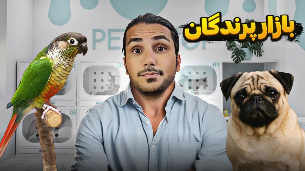 گرینچیک بدلکار و طوطی های بی نظیر در ولاگ بزرگترین بازار پرندگان ایران