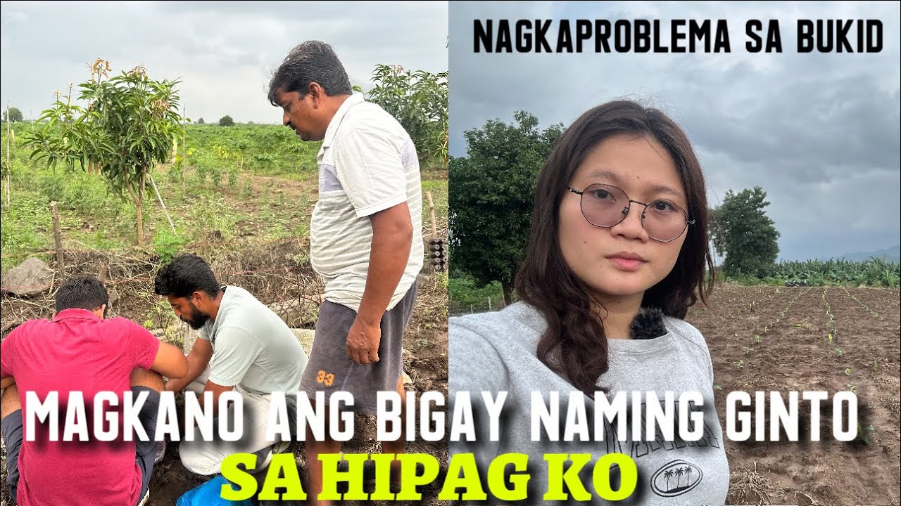 MAGKANO ANG BIGAY NAMING GINTO SA HIPAG KO? NAGKAPROBLEMA SA BUKID 