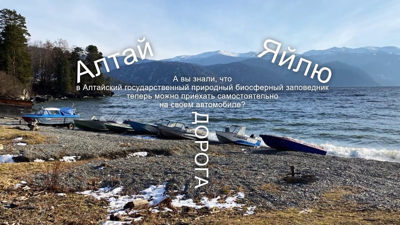 Дорога от Яйлю, заповедного Телецкого озера. Алтай. Road. Altai. #trending #road #altay
