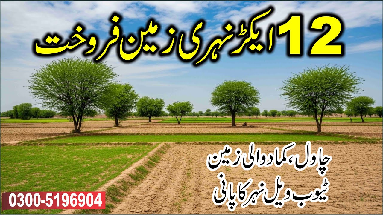 12 Acres Fertile Agriculture Land for Sale in Punjab Pakistan | Affordable Farming Land