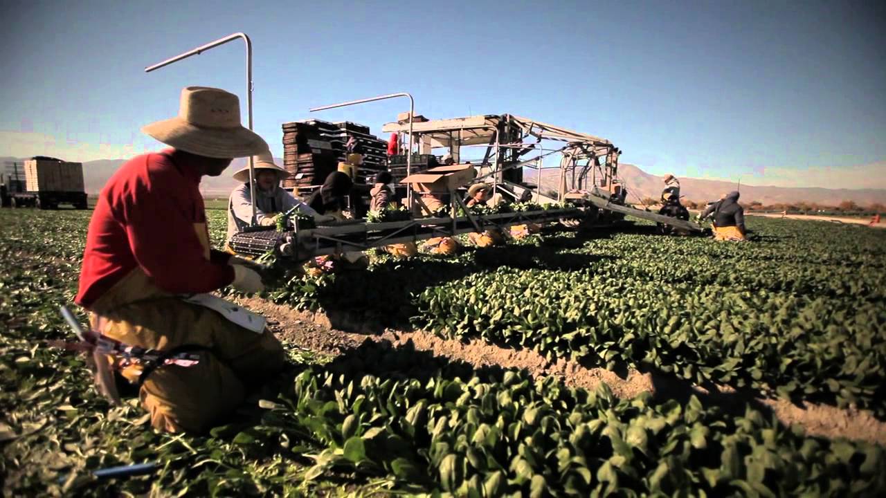 Coachella: Access to Healthy Food