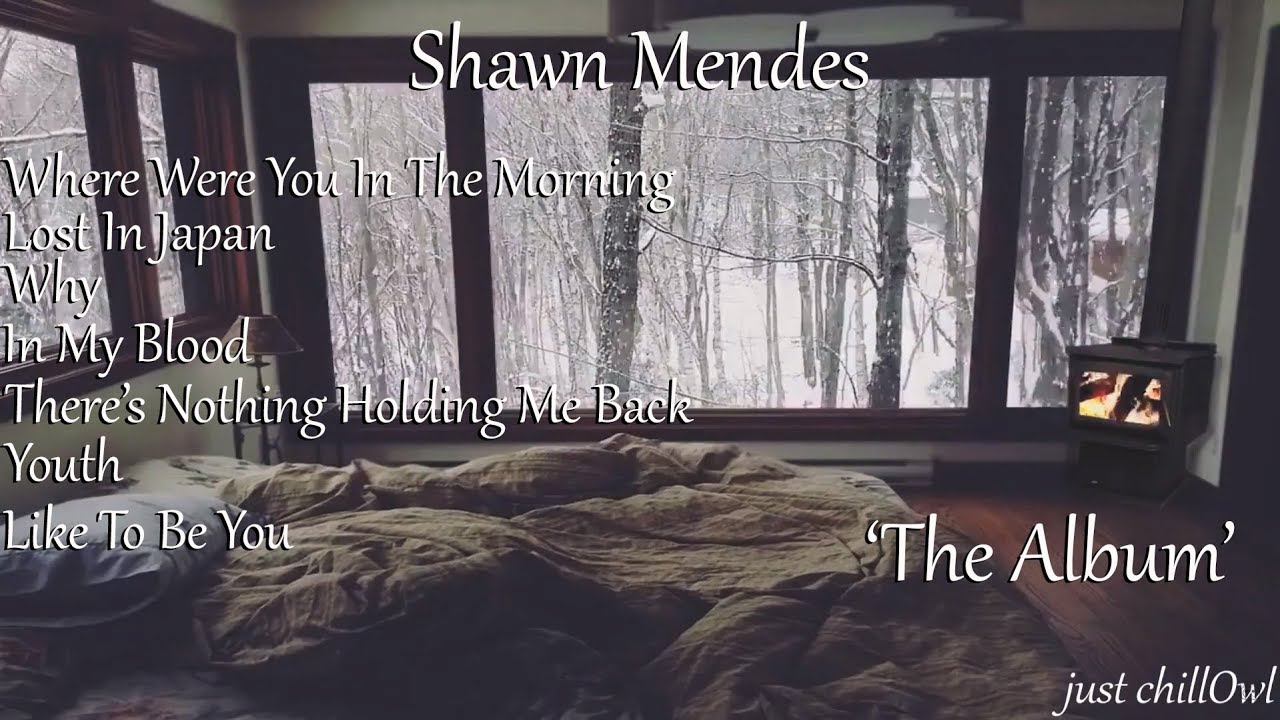 Shawn Mendes 