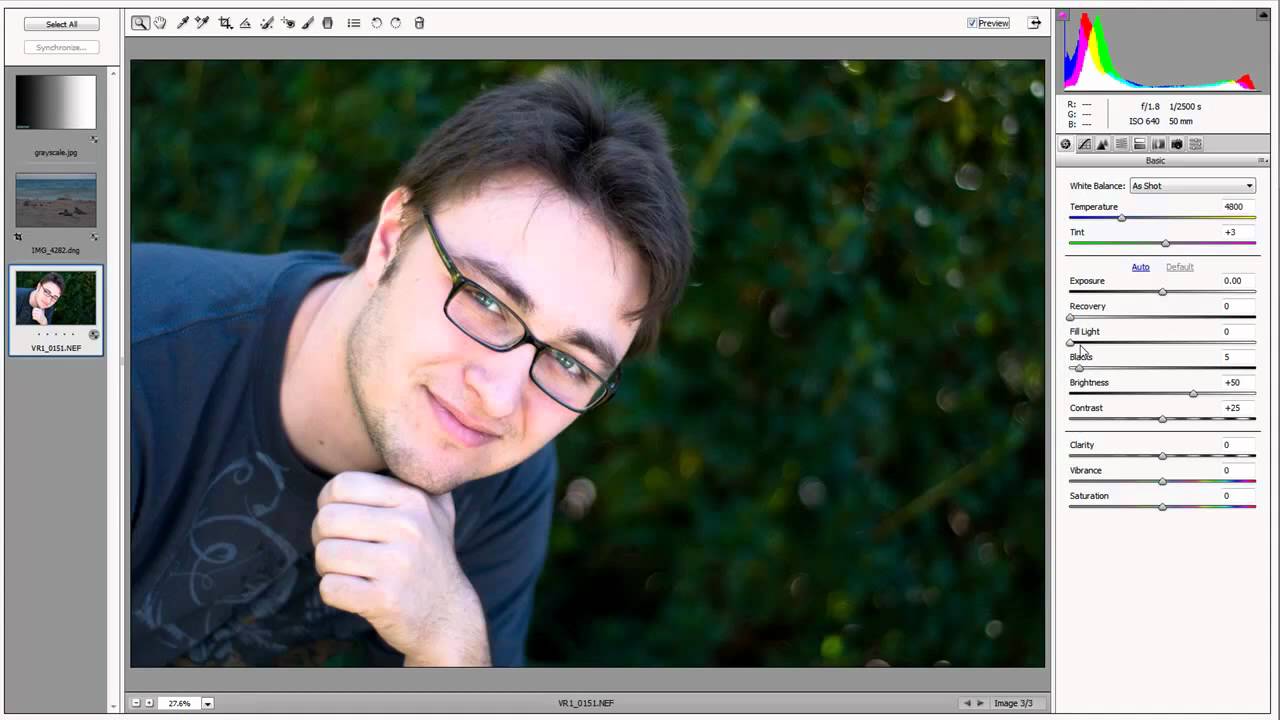 Adobe Camera RAW for Beginners: Tone Curve