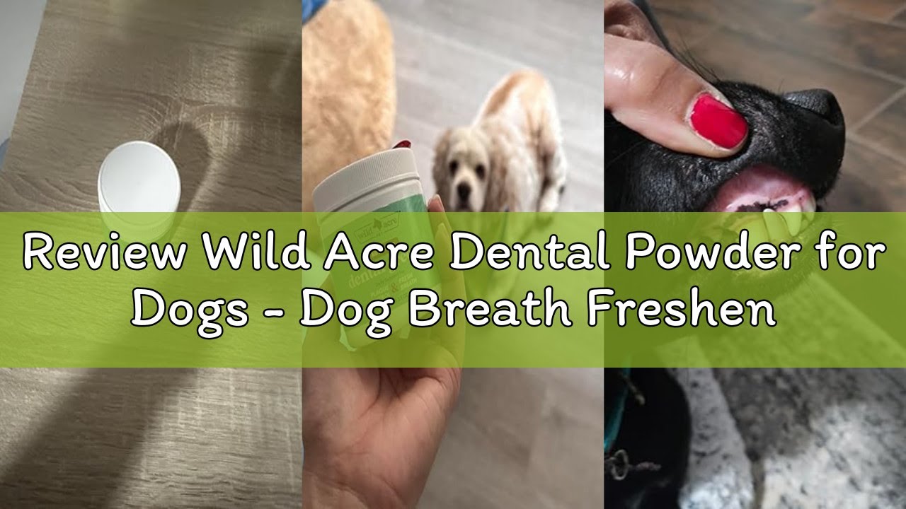 Review Wild Acre Dental Powder for Dogs - Dog Breath Freshener Dental Powder for Teeth Cleaning Plaq