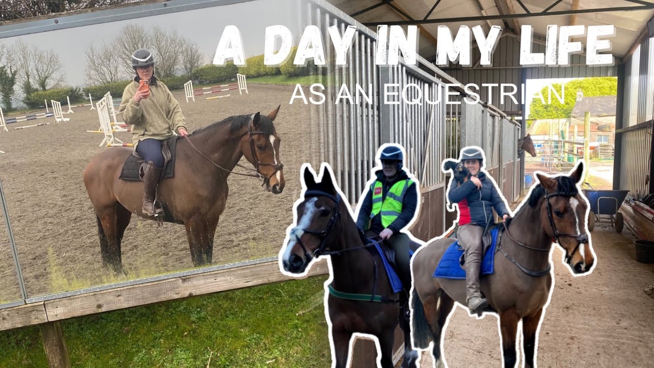 DAY IN THE LIFE | Amateur Equestrian | Juggling Work and Four Horses 😳