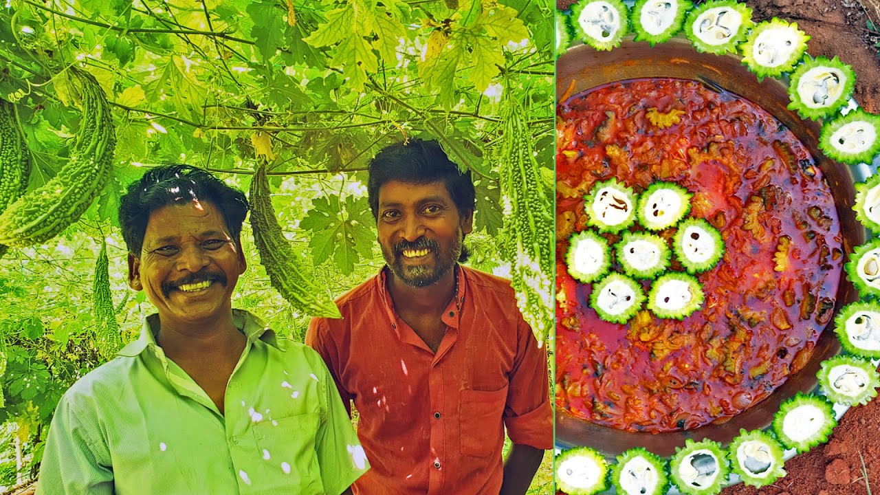 பாவக்காய் தோட்டத்தில்  பாவக்காய் புளிக்குழம்பு |Bitter Gourd Gravy in Bitter Gourd Garden in village