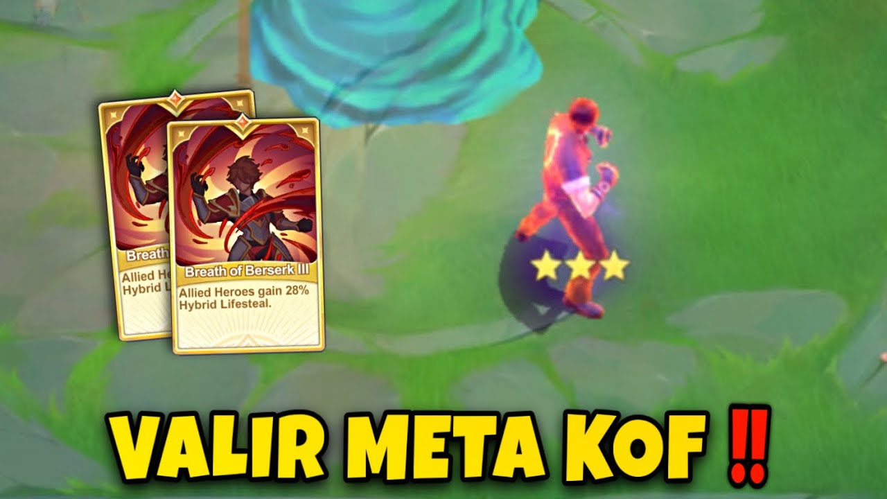 META HERO IN &lsquo;NEW UPDATE&rsquo; VALIR | MAGIC CHESS GO GO‼️