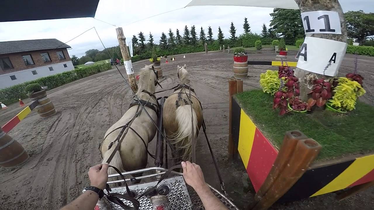 DCM Dennis in  outdoor Dessel Belgie 2de manche