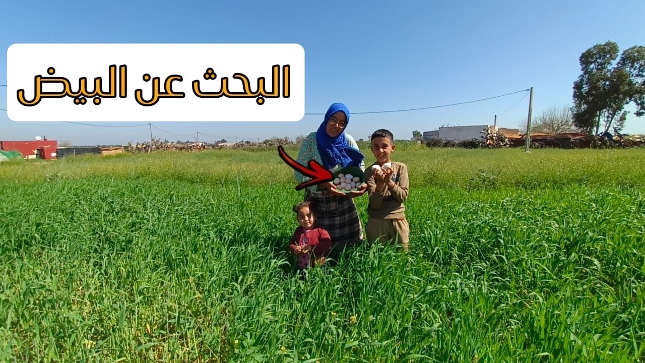 رحلة البحت على البيض🥚البط🦆الديك الرومي 🦃قهرونا كل مرة فين كايلوحو البيض فقنت🤦‍♀️