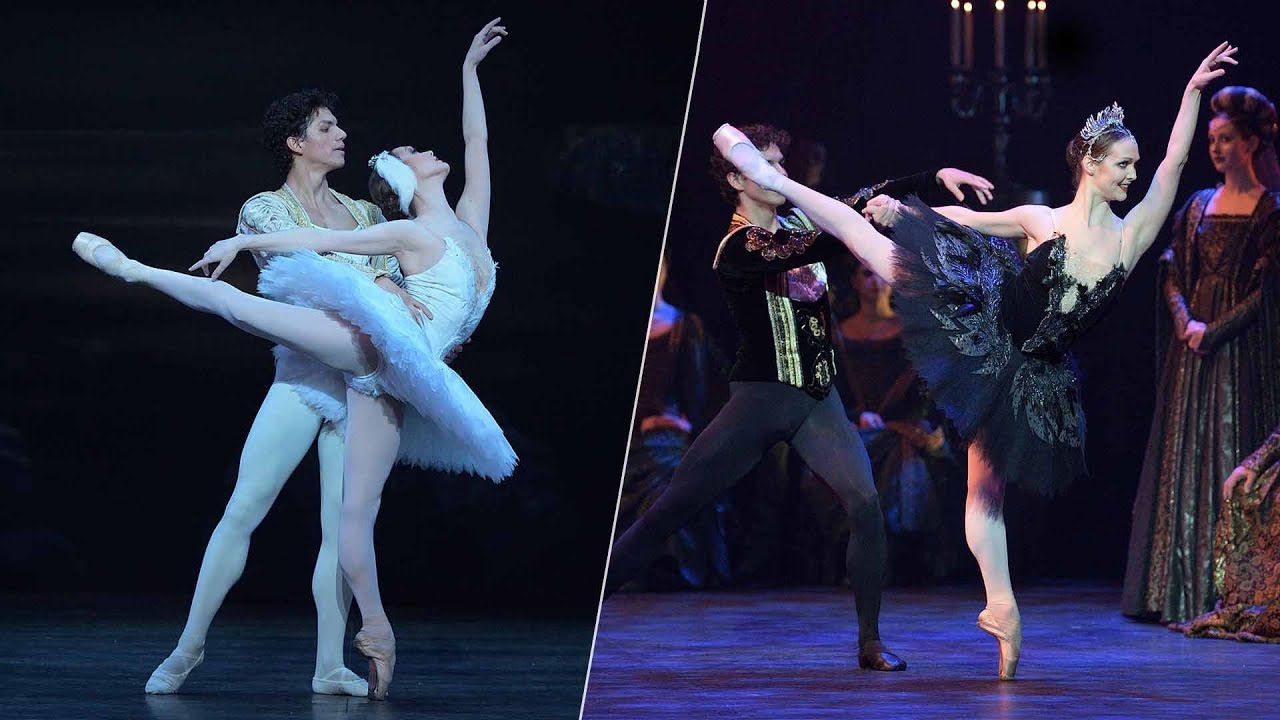 Swan Lake: the dual role of Odette and Odile | English National Ballet