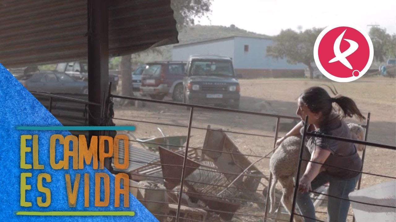 Día de acción en la finca de Chabeli | El campo es vida