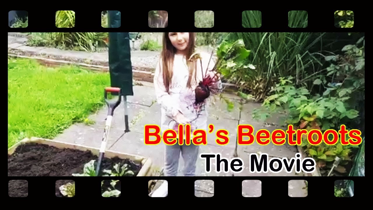 Bella's Beetroots The Movie Growing Cooking Eating Beetroot