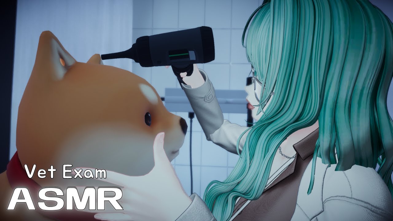 スピーディーな獣医さんによる健康診断♡獣医さんのASMRロールプレイ♡Vrchat Vtuber