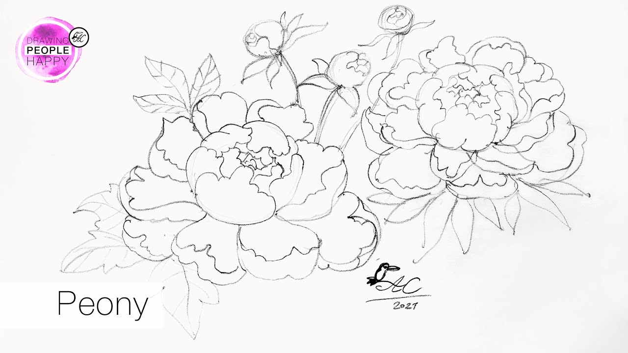 Easy Way To Draw Peony For Beginners / STEP BY STEP Drawing Tutorial