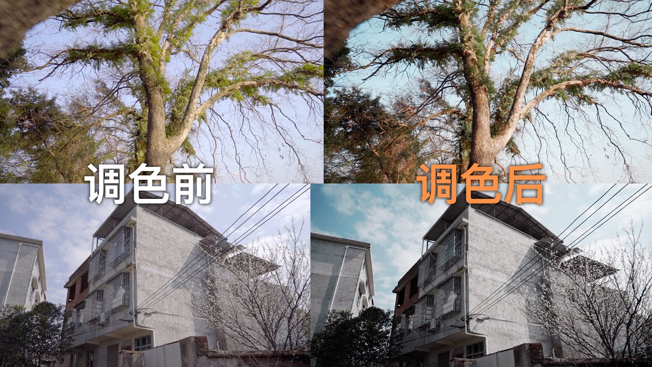 FCPX三个调色技巧，Slog3设置，曲线正确打开方式 FCPX three grading tips