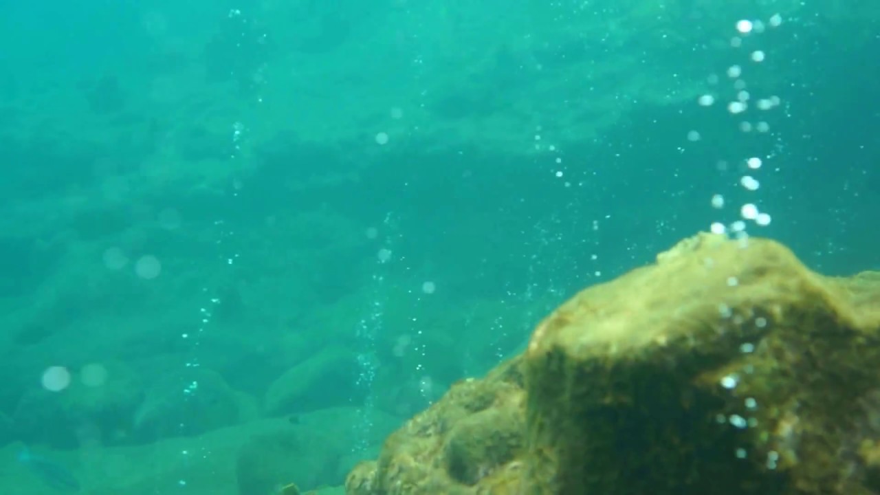 Champagne Reef, Dominica