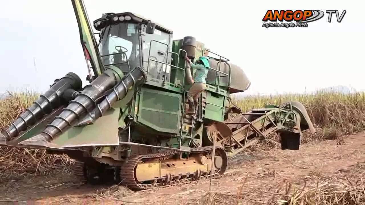 Destaque Nacional: Angola busca espaço na produção de açucar