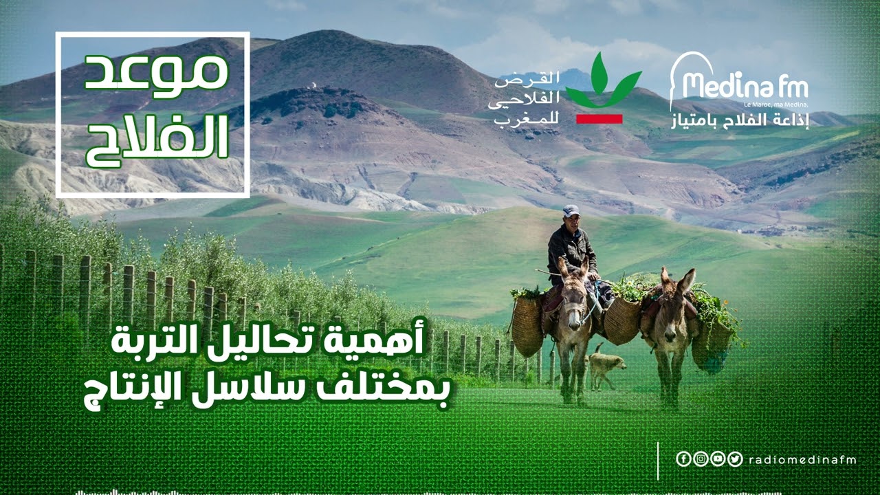 أهمية تحاليل التربة بمختلف سلاسل الإنتاج