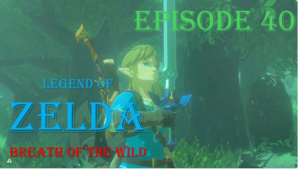 Legend of Zelda Breath of the Wild: Episode 40 Korok Forest and Getting the Master Sword