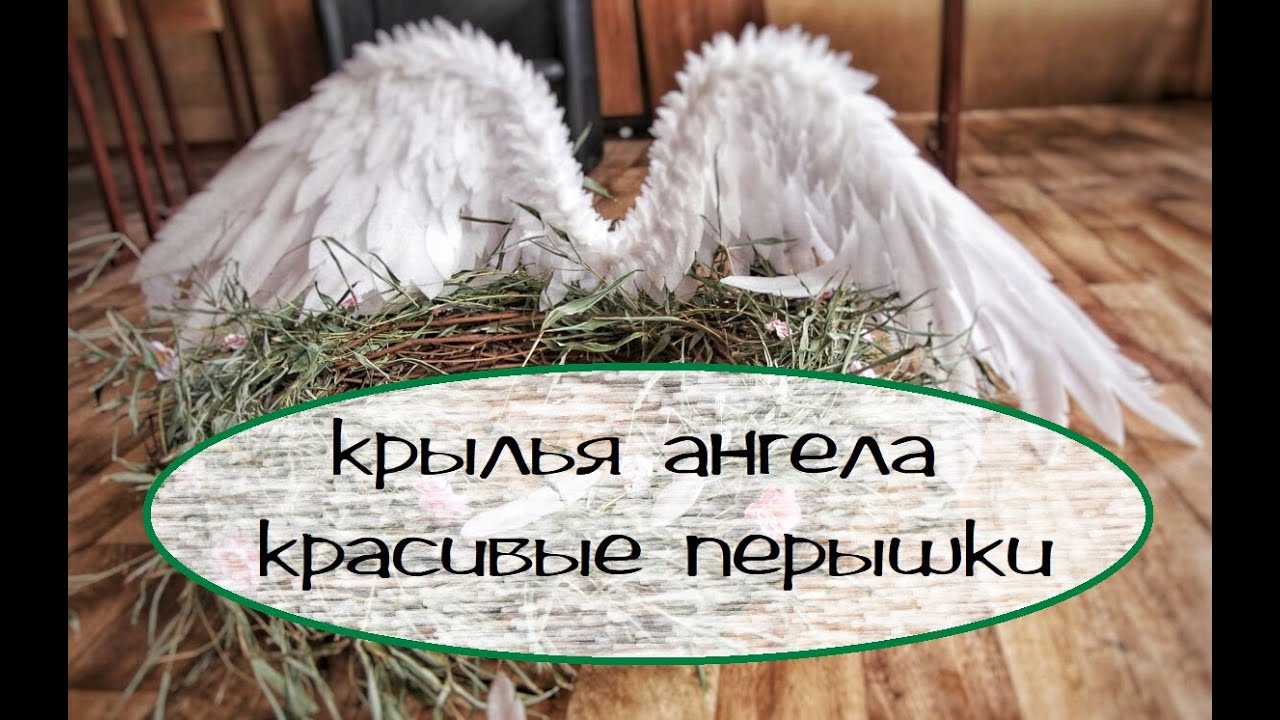 Крылья Ангела. Красивые перышки