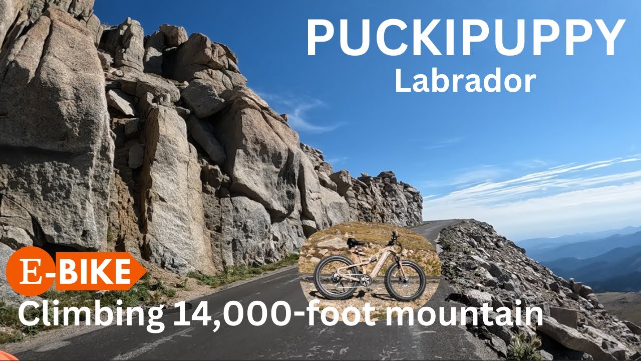 Climbing mountains on the Puckipuppy Labrador ebike!