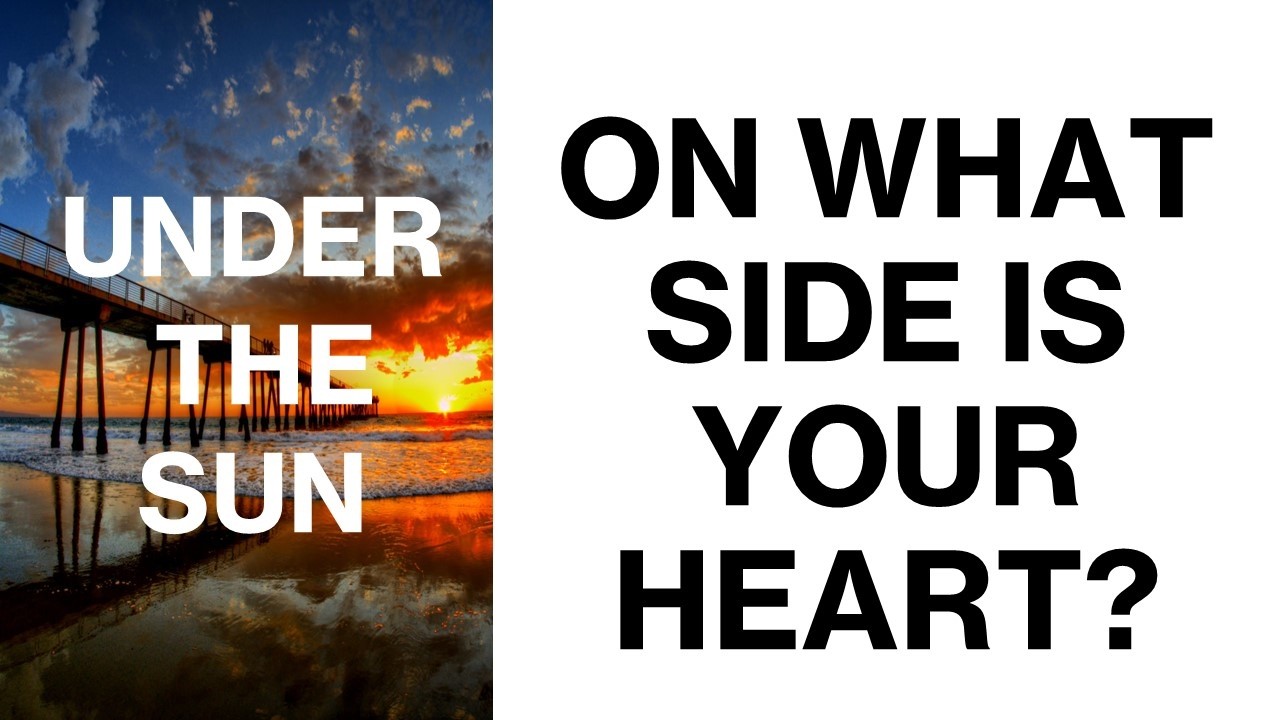 UNDER THE SUN: LOOK OUT FOR THE FLIES!