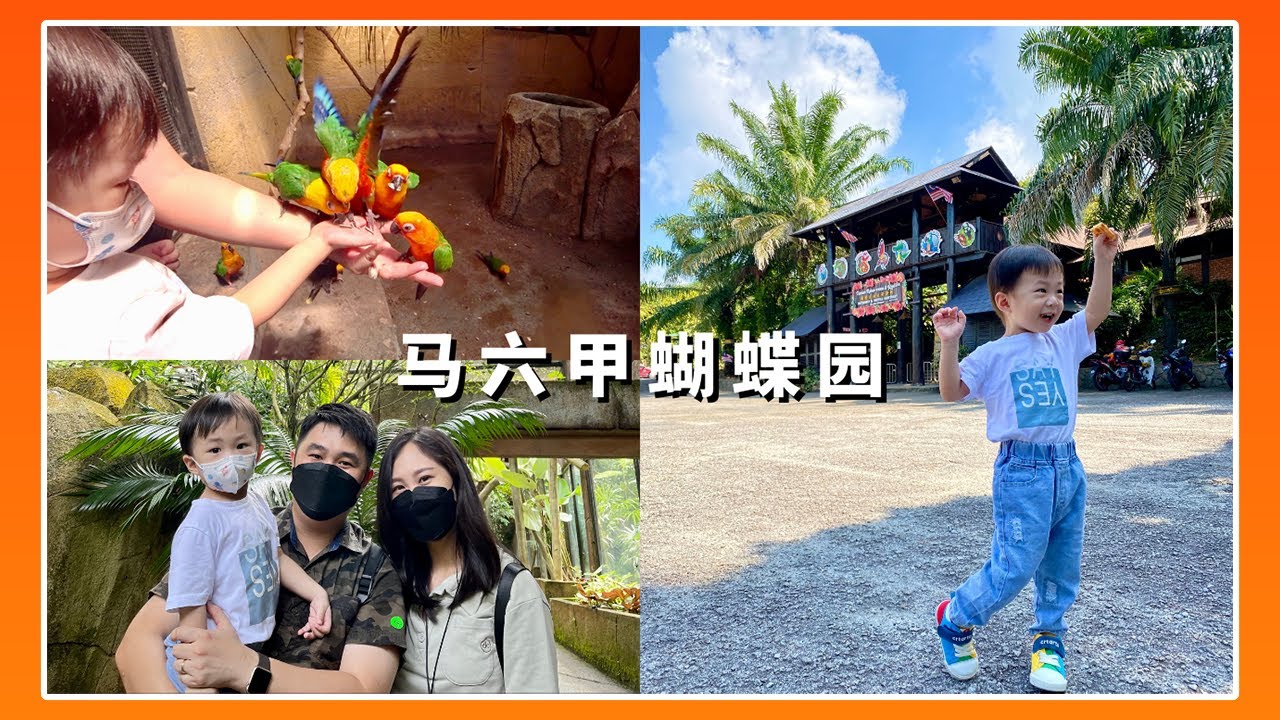 马六甲蝴蝶园｜MELAKA BUTTERFLYREPTILE
