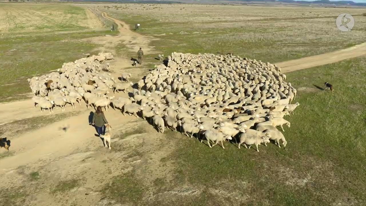 Llanos de Cáceres y Sierra de Fuentes, el paisaje del horizonte | Paisaje Natural