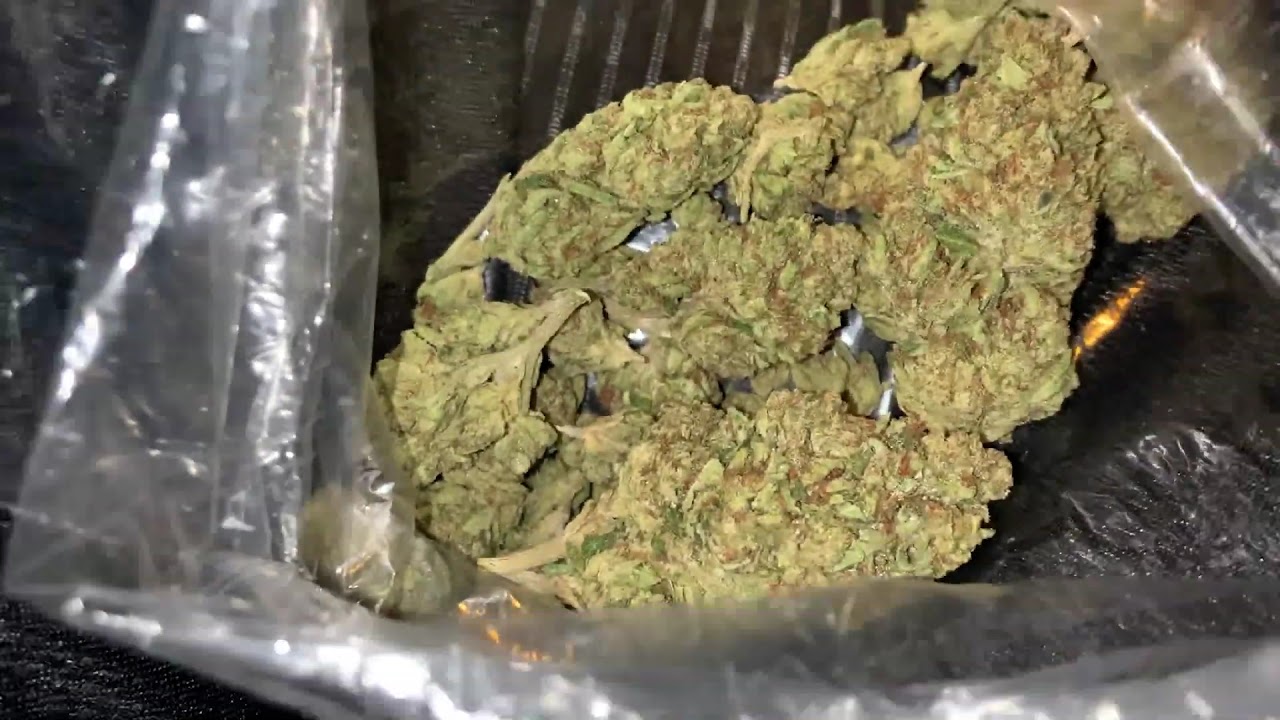 San Fernando Valley Kush