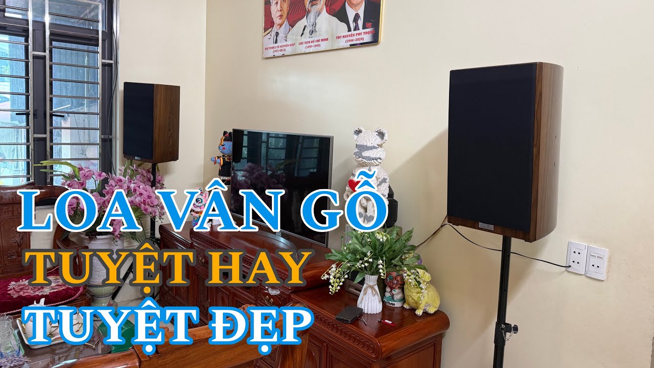 NGHE HAY BÀY ĐẸP | LOA VÂN GỖ TRUESOUND LA12 VỀ QUÊ HƯƠNG QUAN HỌ