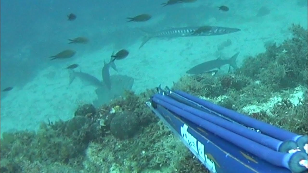 Spearfishing🏆 Big Dusky Grouper - Sakis Tsonis 0-1 #  Ψαροντούφεκο μεγάλος Ροφός