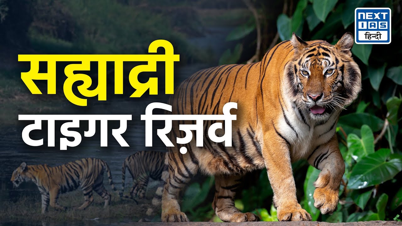 Sahyadri Tiger Reserve | Explained | NEXT IAS HINDI