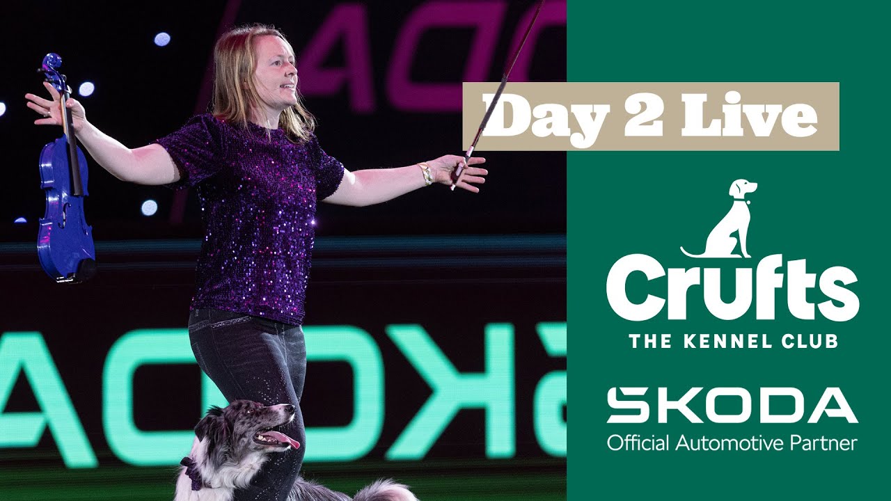 Day 2 LIVE | Crufts 2025