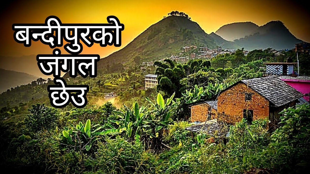 बन्दिपुरको जंगल छेउ true horror story|nepali horror story|story teller|horror story |@SatyayaBhram