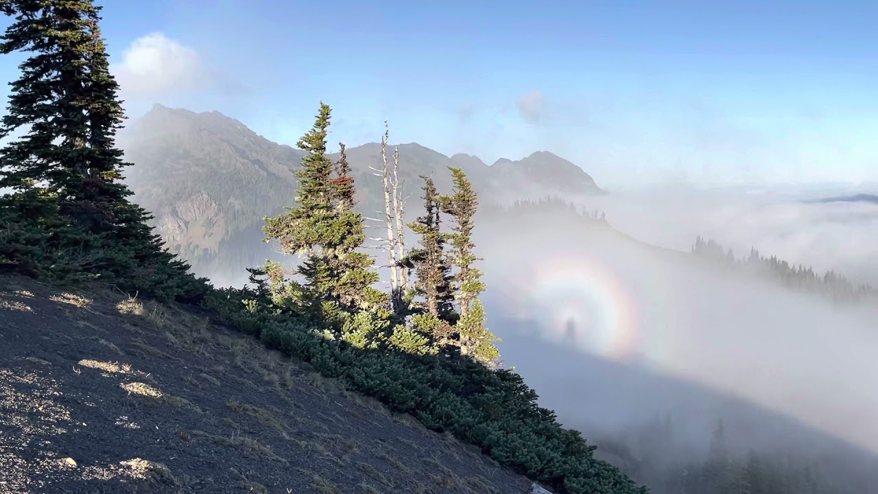Brocken Spectre at Hurricane Ridge, Olympic National Park. Nature’s gift.