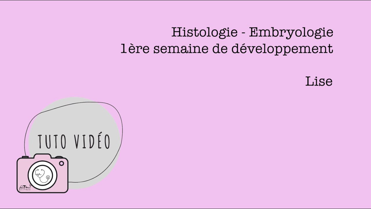 Histologie   Embryologie – 1ère semaine de développement suite
