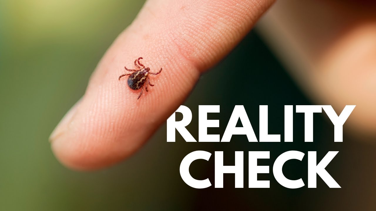 Tick Safety - How To Avoid Ticks While Hiking And Filmmaking
