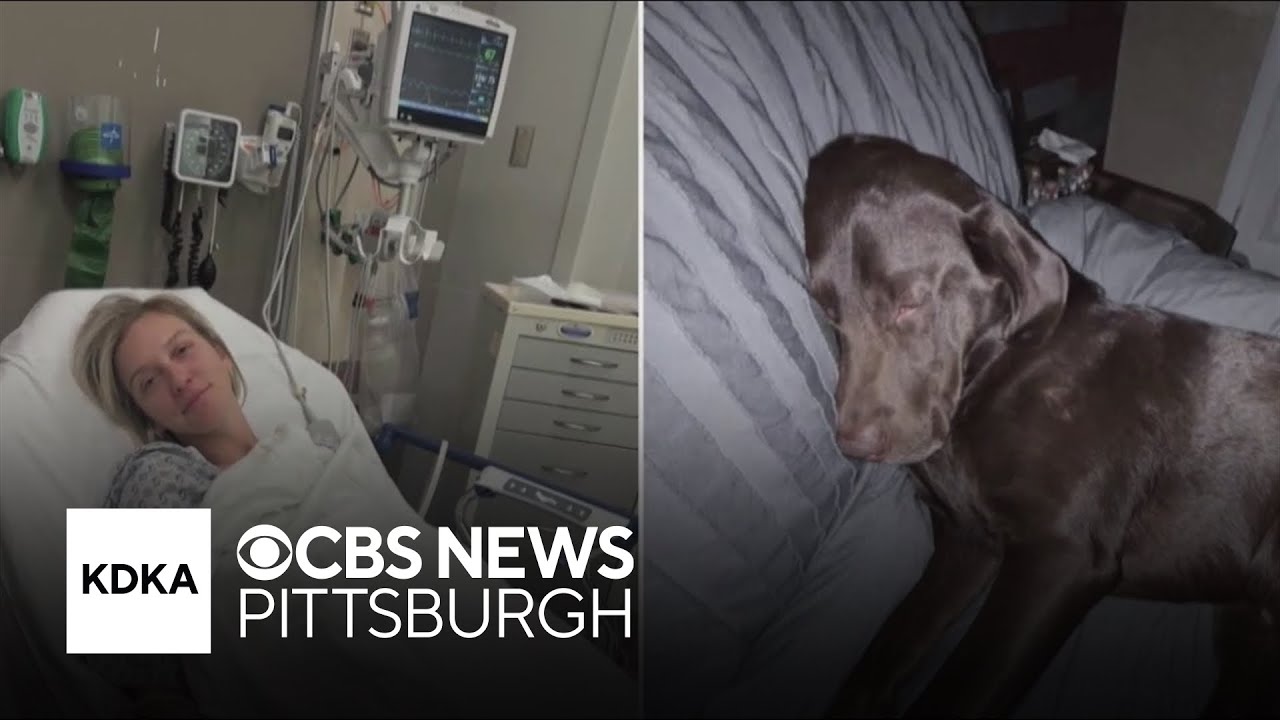 Woman who was shocked on Pittsburgh sidewalk with her dog recounts her experience