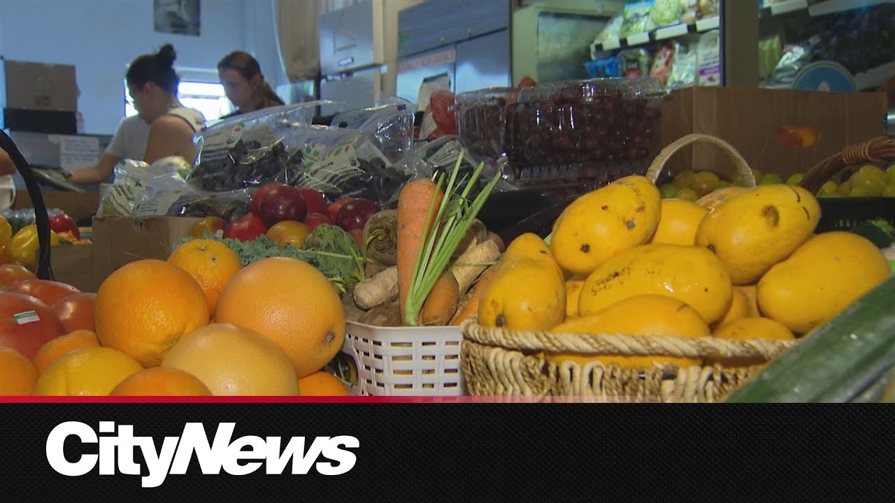 West Bend pay-what-you-can grocery store diverts food from landfills onto tables