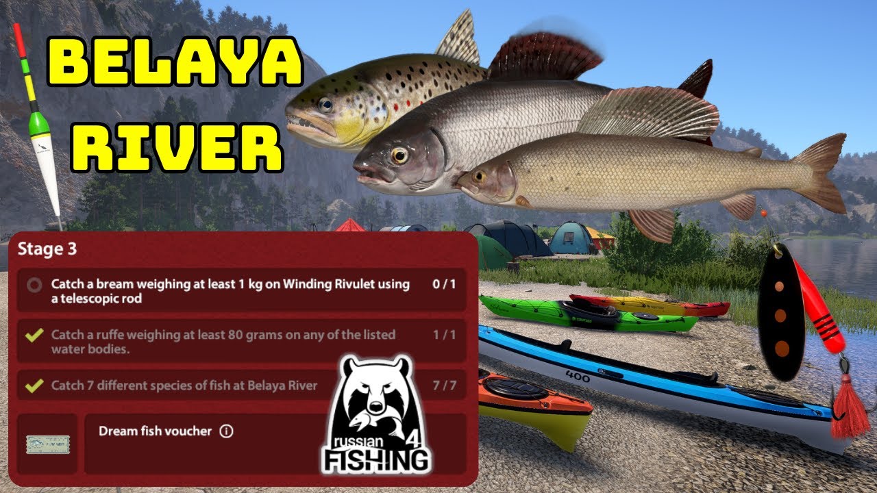 Belaya River TASK spots Brown trout & Grayling float & spin (119) | Russian Fishing 4