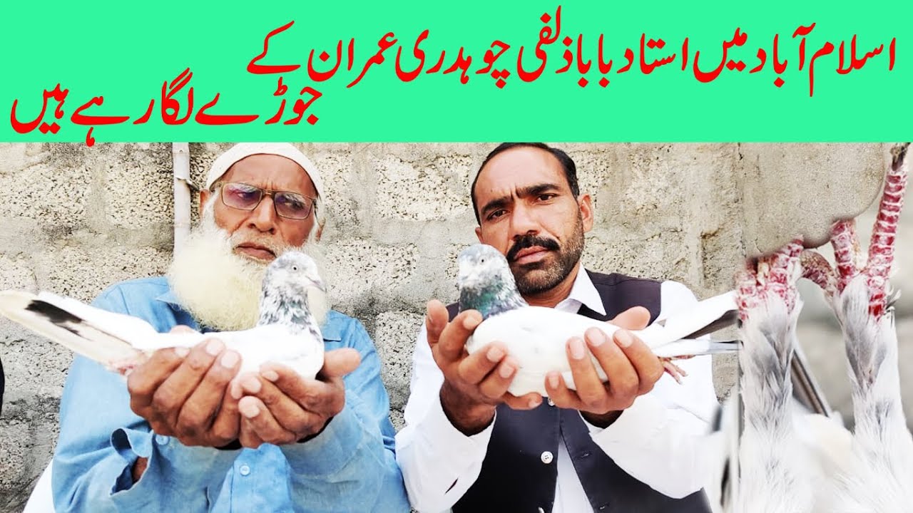 ustad zulfi islamabad me chudary imran ke jore lgte hwe  03004515078