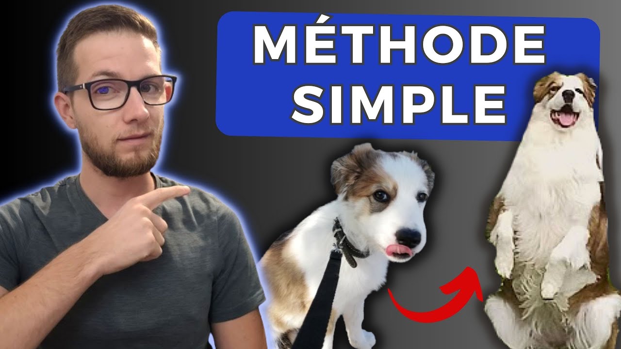 ASTUCES - Comment apprendre le rappel à son chien