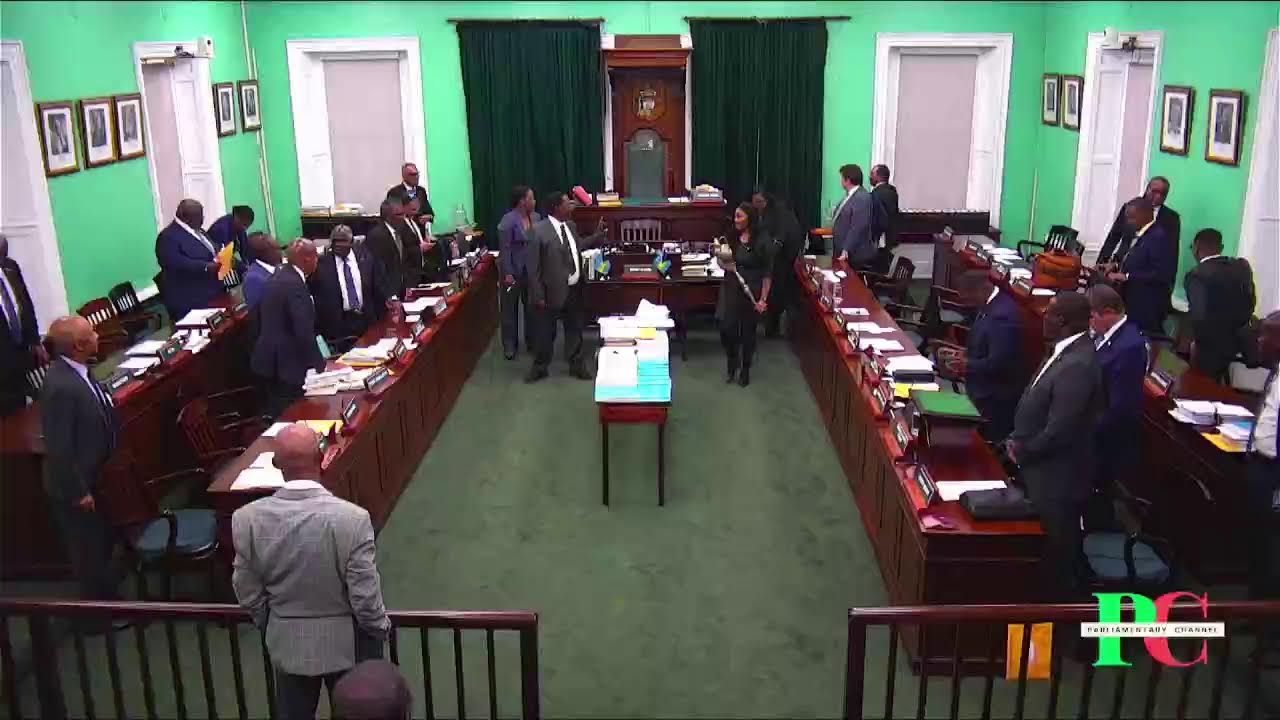 The Parliamentary Channel: The Bahamas House Of Assembly, 1st July 2024 Afternoon Session