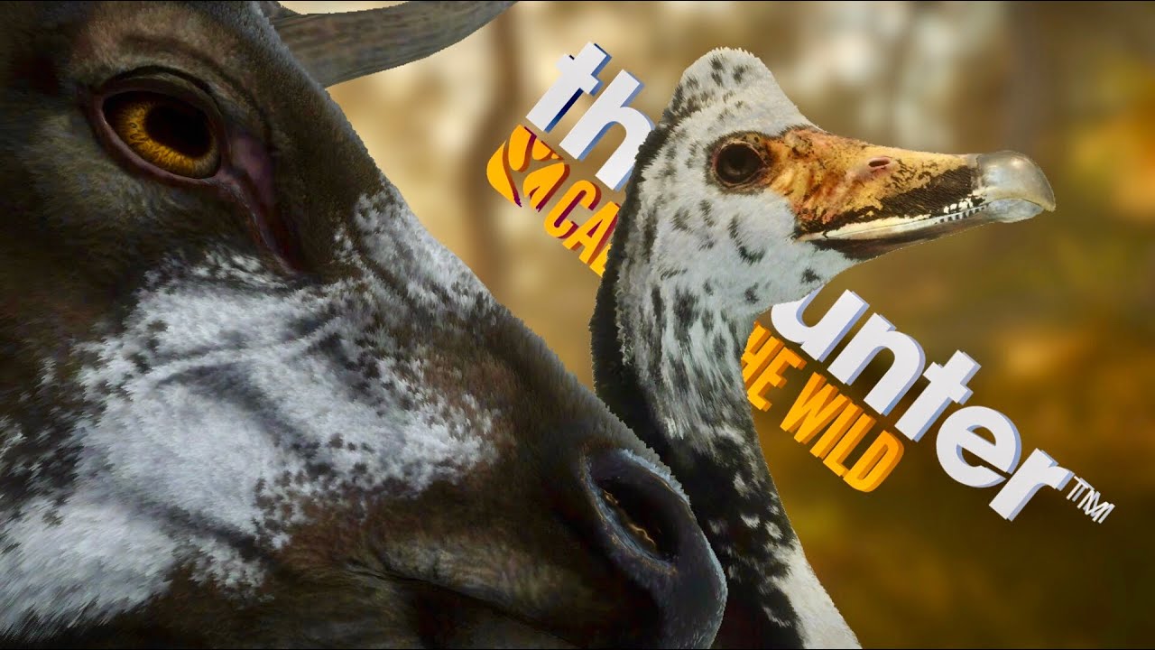 CHASING MULTIPLAYER TROPHIES! DARK BROWN RACCOON DOG, PIEBALD SAMBAR & MAGPIE GOOSE & MORE!