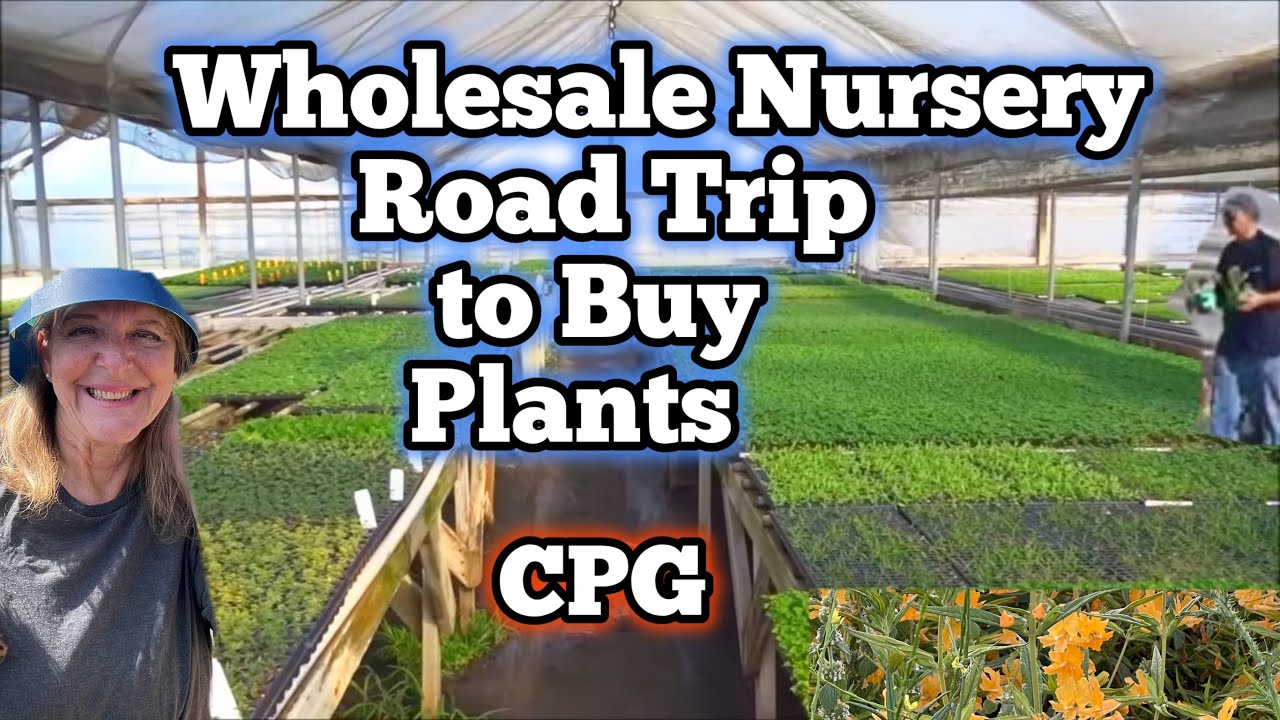 Trip to a Garden Nursery Wholesale Plants CPG Plant Nursey Buying Vegetables for Gardening