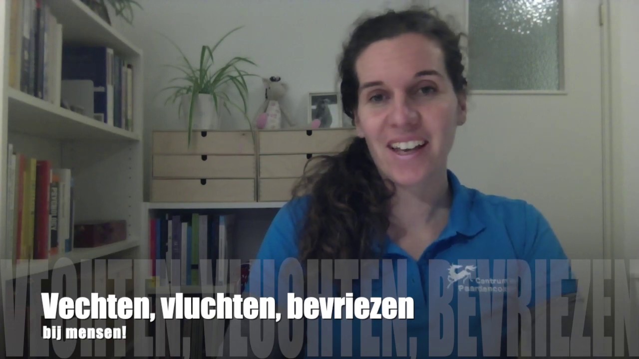 PaardencoachTips: Vechten vluchten of bevriezen, bij mensen | Herken de signalen