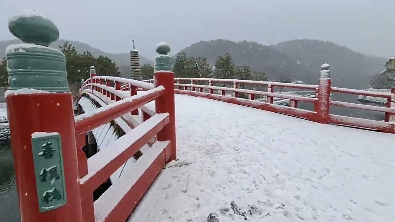 【雪景色の京都宇治】雪が積もった朝の京都宇治を歩きました