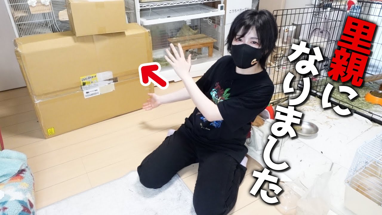 ある生き物の里親になったので「アクリルルームIII390High」を組み立てます！