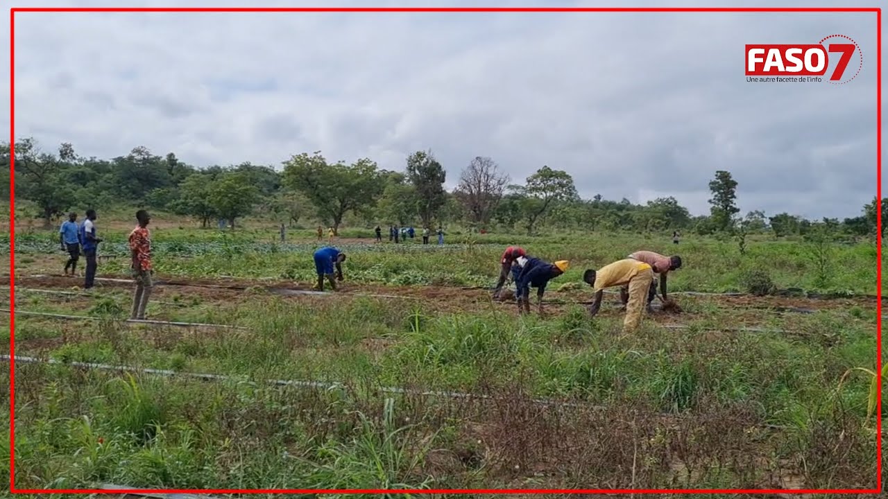 Burkina Faso : A Gaoua, soldats et détenus exploitent 4ha pour la production agricole